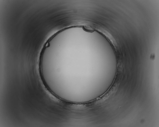 X0000102851135200809021354