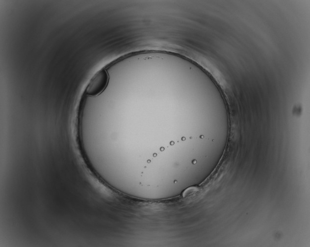 X0000102851136200809021354