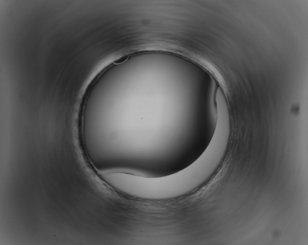 X0000102851138200809021354