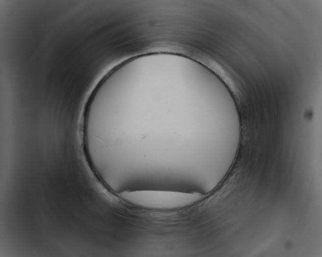 X0000102851140200809021354