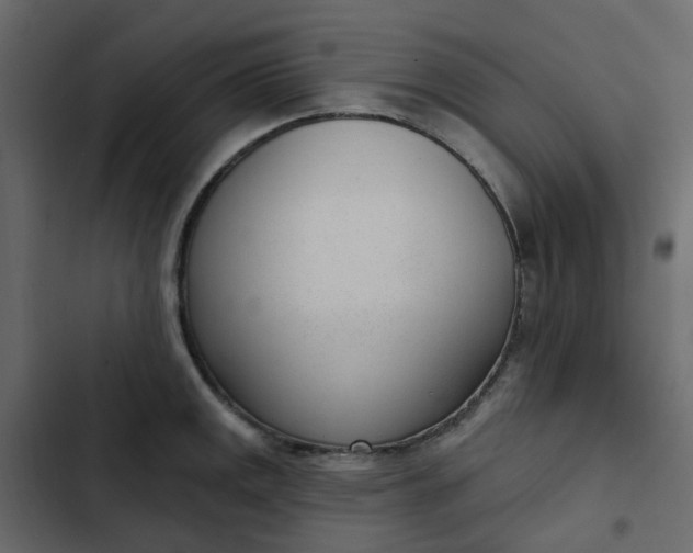 X0000102851141200809021354