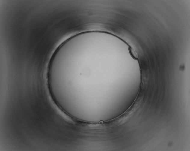 X0000102851142200809021354