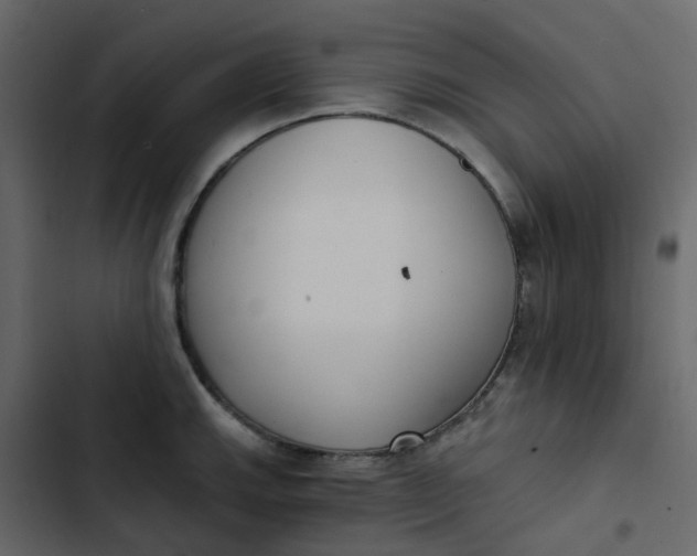 X0000102851143200809021354