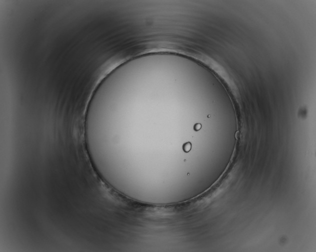 X0000102851145200809021355