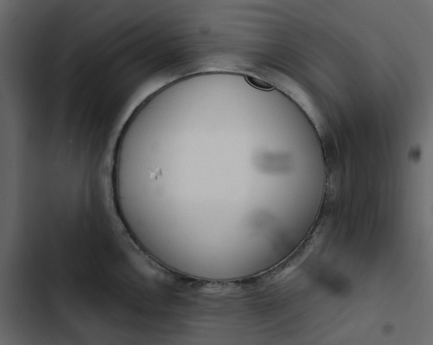 X0000102851146200809021355