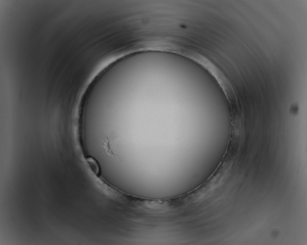 X0000102851147200809021355