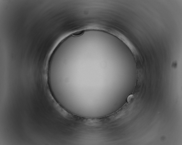 X0000102851148200809021355