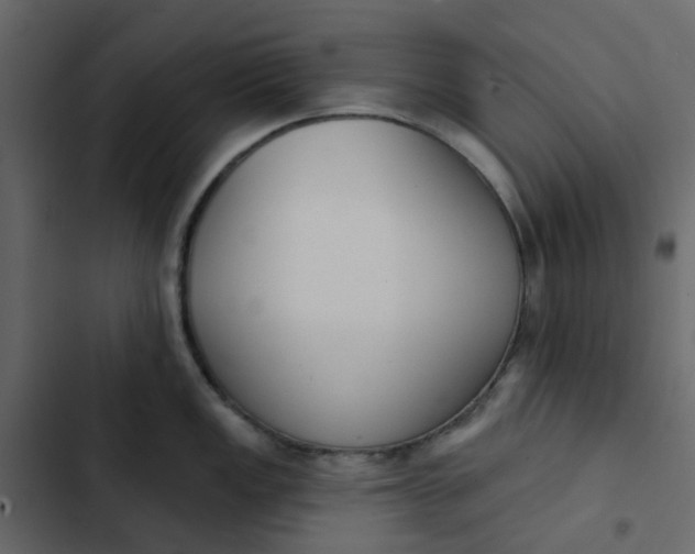 X0000102851149200809021355