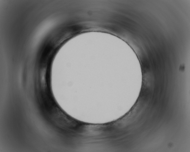 X0000102851150200809021355