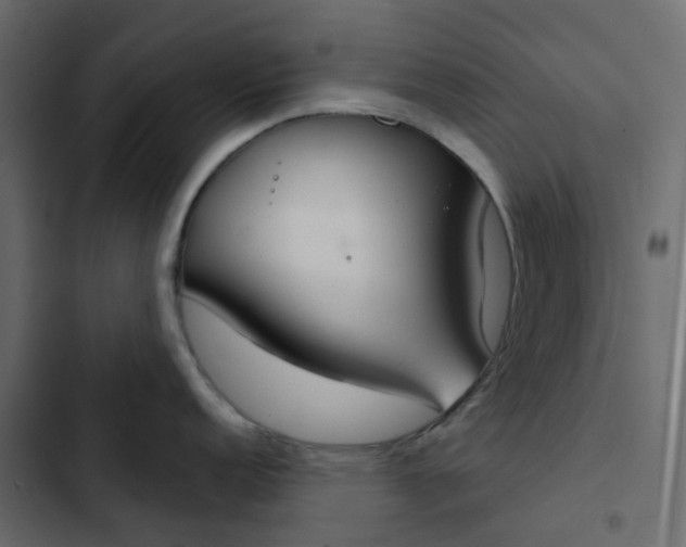 X0000102851152200809021355