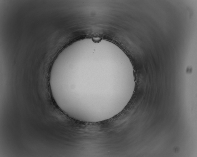 X0000102851153200809021354