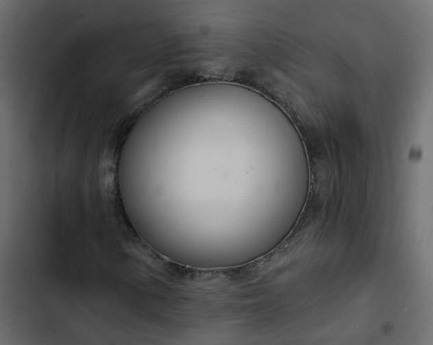 X0000102851154200809021354