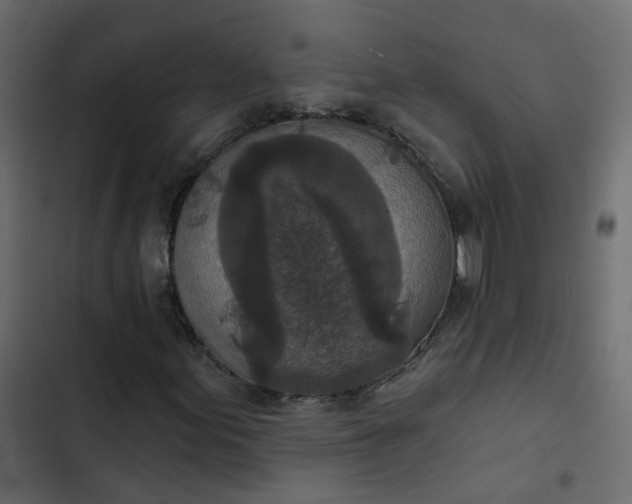 X0000102851155200809021354