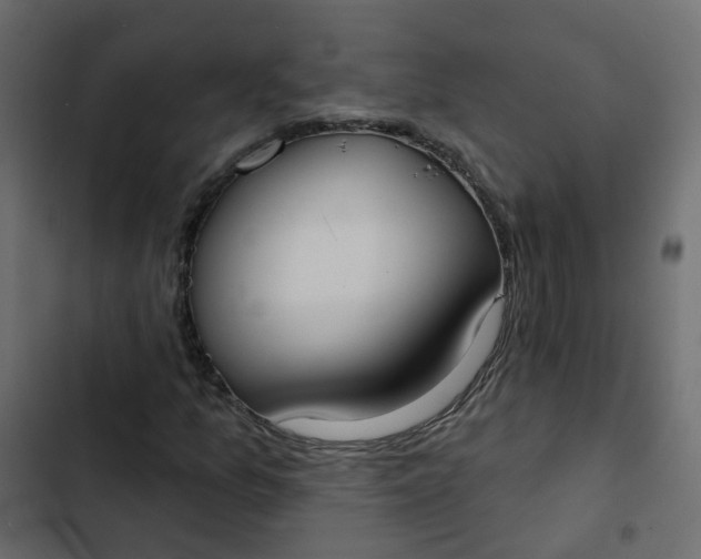 X0000102851157200809021354