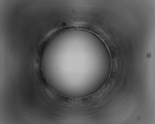 X0000102851158200809021354