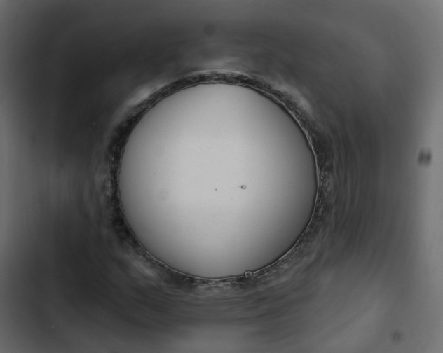 X0000102851159200809021354