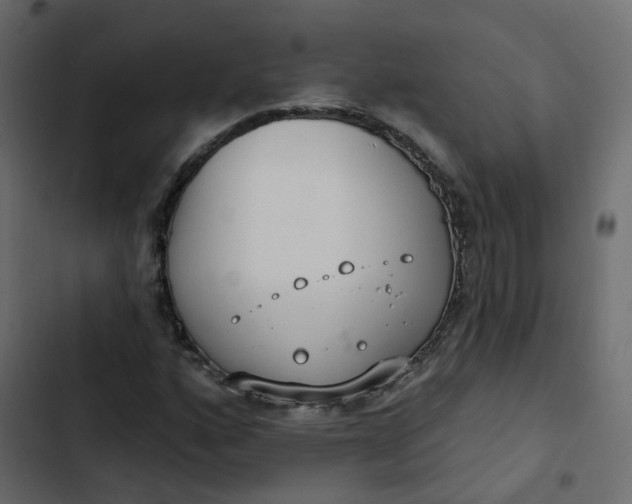 X0000102851160200809021354