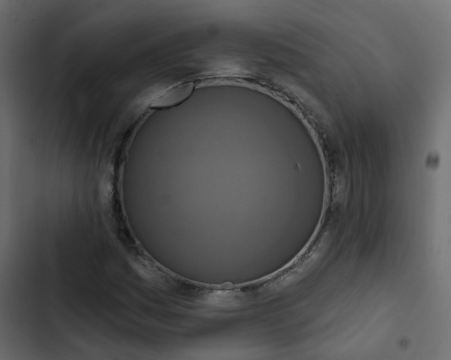 X0000102851161200809021354