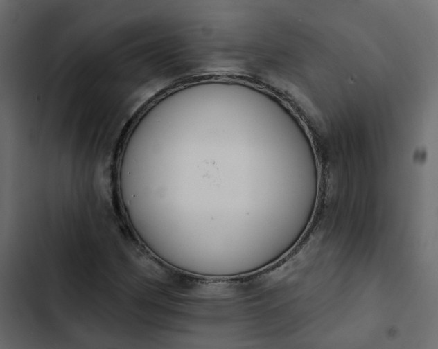 X0000102851162200809021354