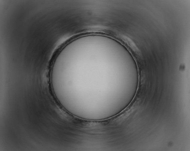 X0000102851164200809021354