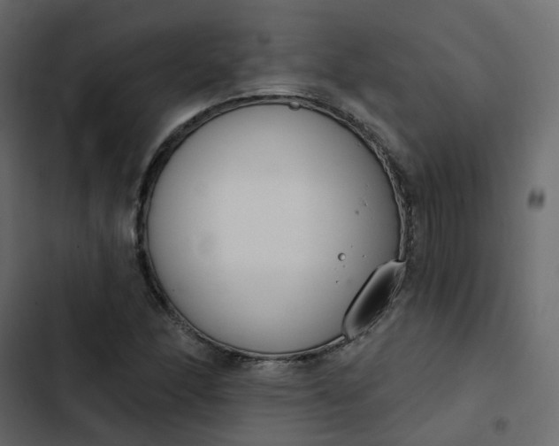 X0000102851166200809021354