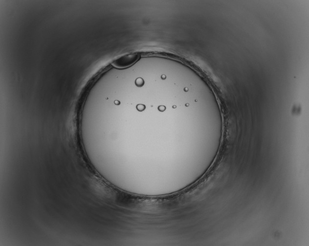 X0000102851167200809021354