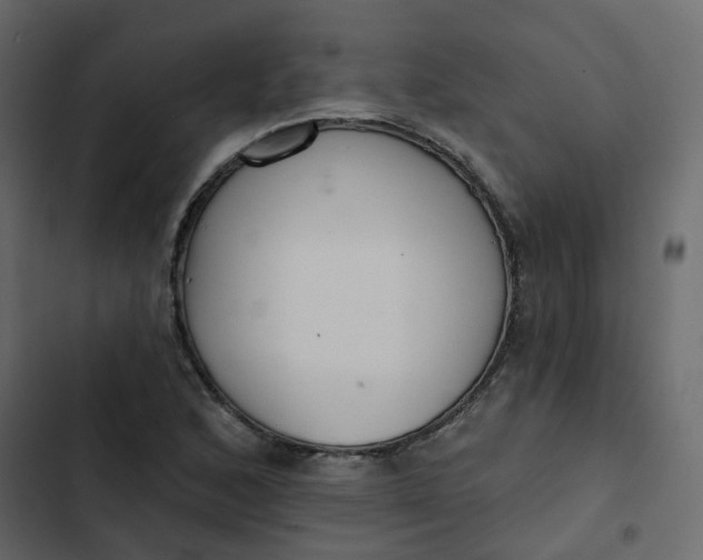 X0000102851168200809021354