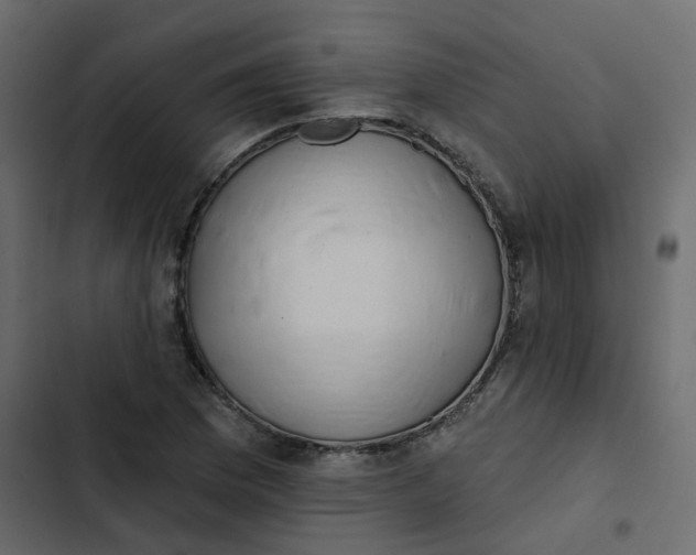 X0000102851169200809021354