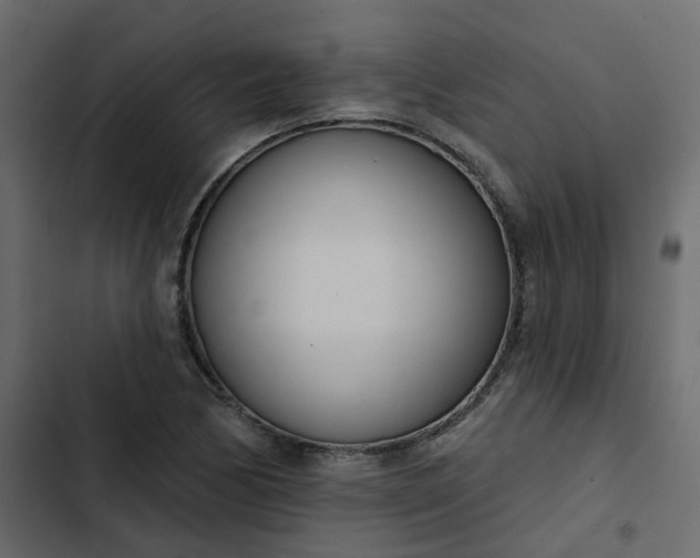 X0000102851170200809021354