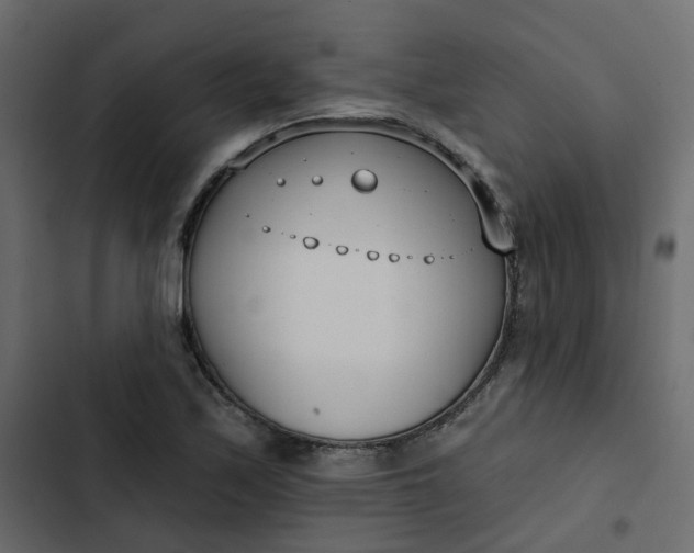 X0000102851171200809021354