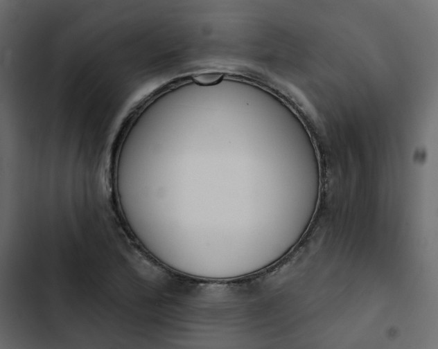 X0000102851172200809021354