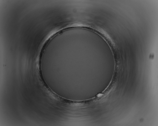 X0000102851173200809021354