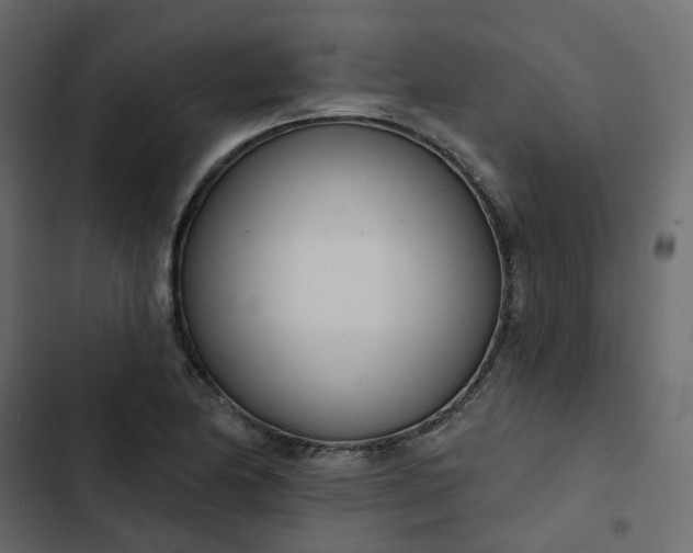 X0000102851174200809021353