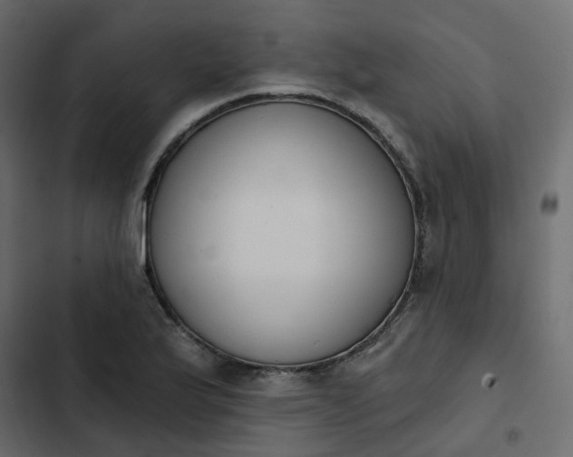 X0000102851175200809021353