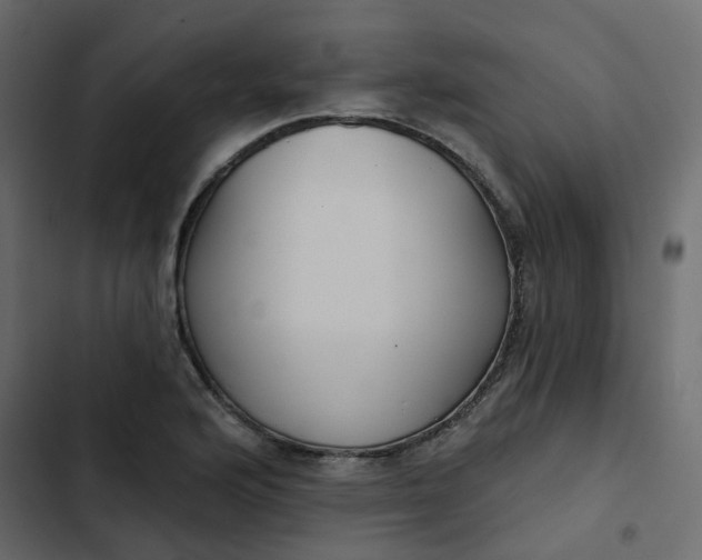 X0000102851176200809021353