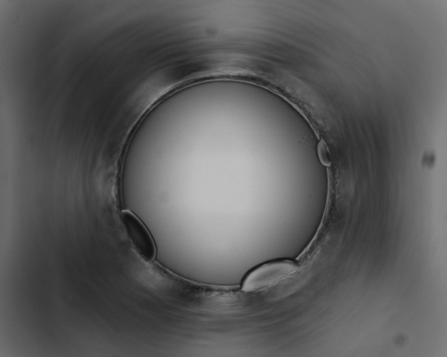 X0000102851177200809021353