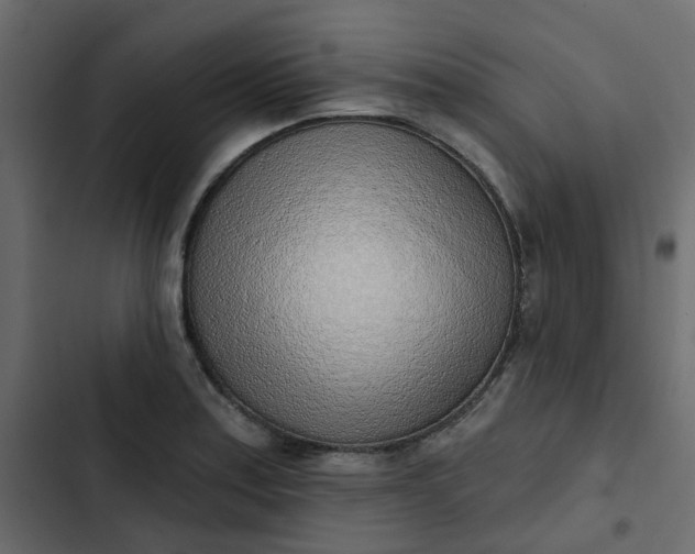 X0000102851179200809021353