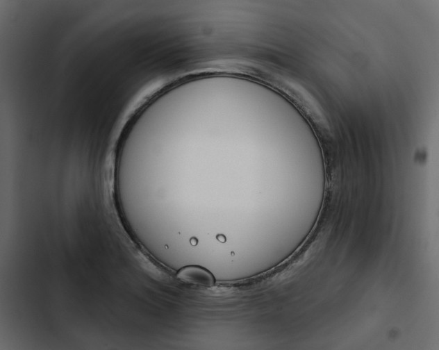 X0000102851180200809021353