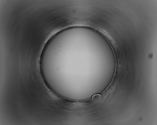 X0000102851181200809021353