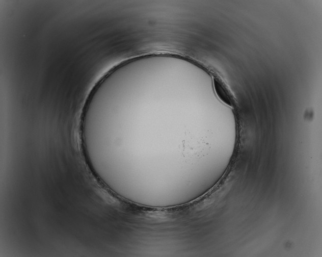 X0000102851182200809021353