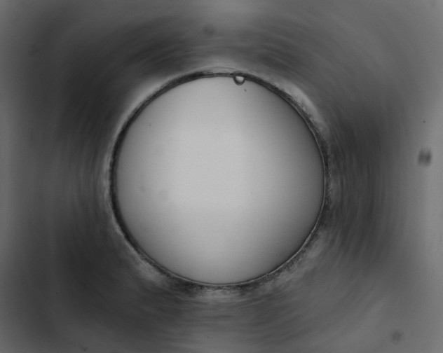 X0000102851183200809021353