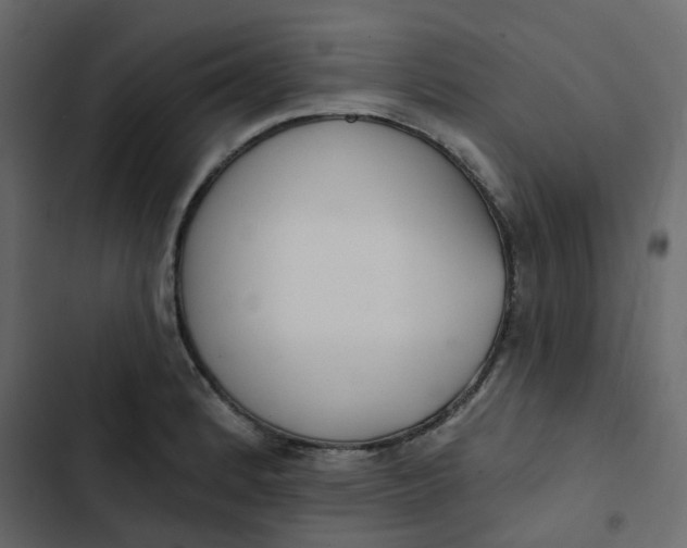 X0000102851184200809021353