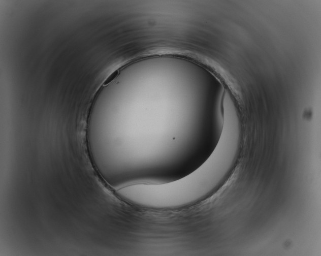 X0000102851185200809021353