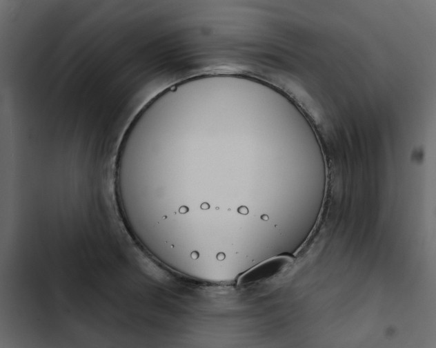 X0000102851186200809021353