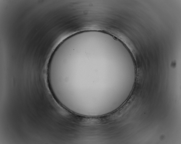 X0000102851187200809021353