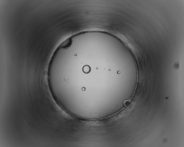 X0000102851189200809021353