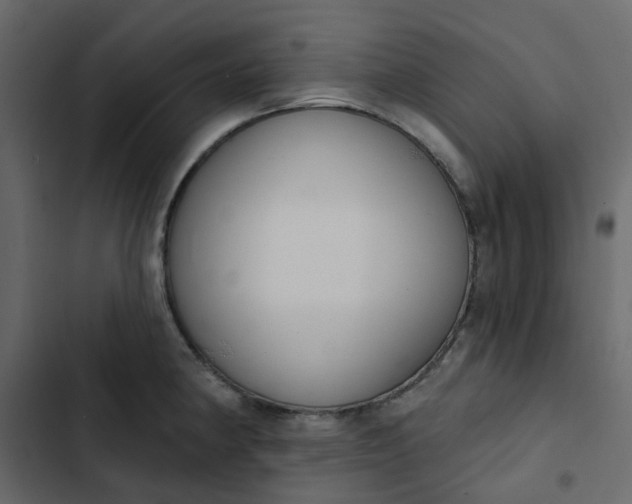 X0000102851190200809021353