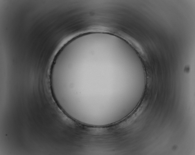 X0000102851192200809021353