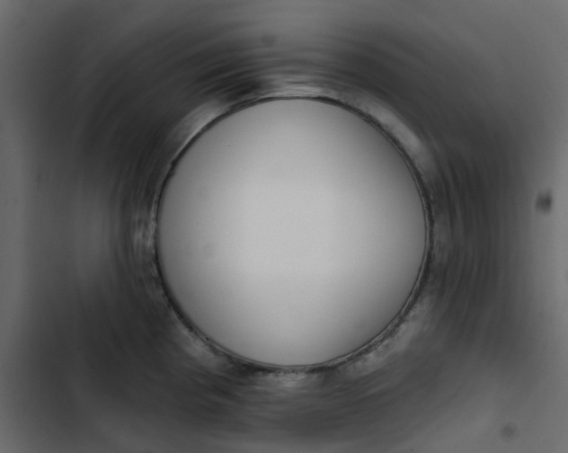 X0000102851193200809021353