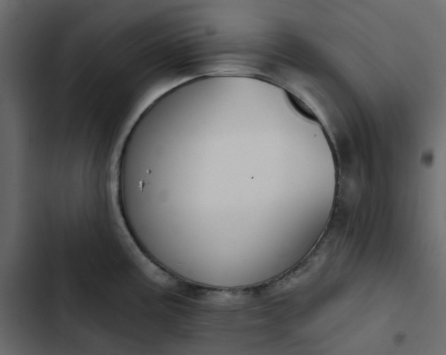 X0000102851195200809021353